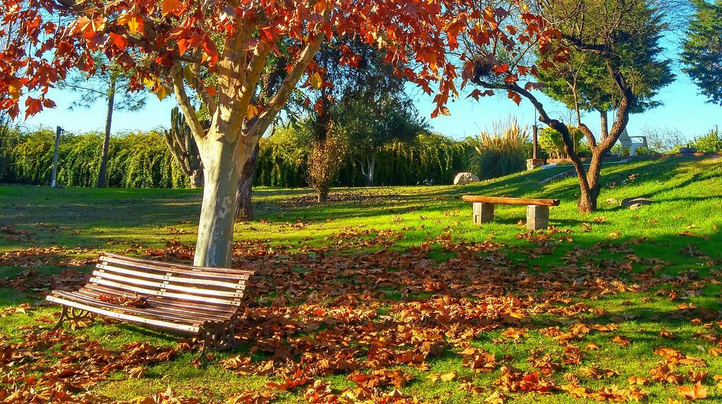 Cabanas Altos Del Velazco 라리오하 외부 사진